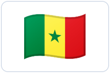 Drapeau — Sénégal